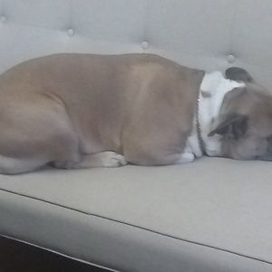 Meet your Posher, Kim